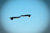 Wings Over Houston